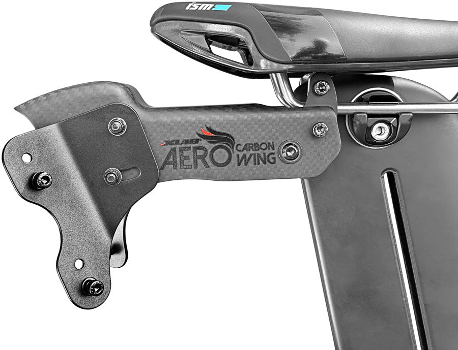 Aero Carbon Wing - WC0144-02.jpg