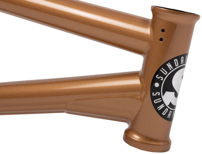 Silvawave BMX Frame - FM6880-03.jpg