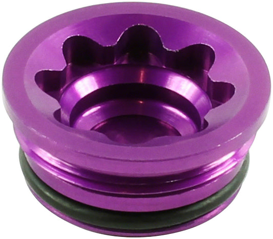 Disc Brake Caliper Bore Caps and Bore Cap O-Rings - BR2324.jpg