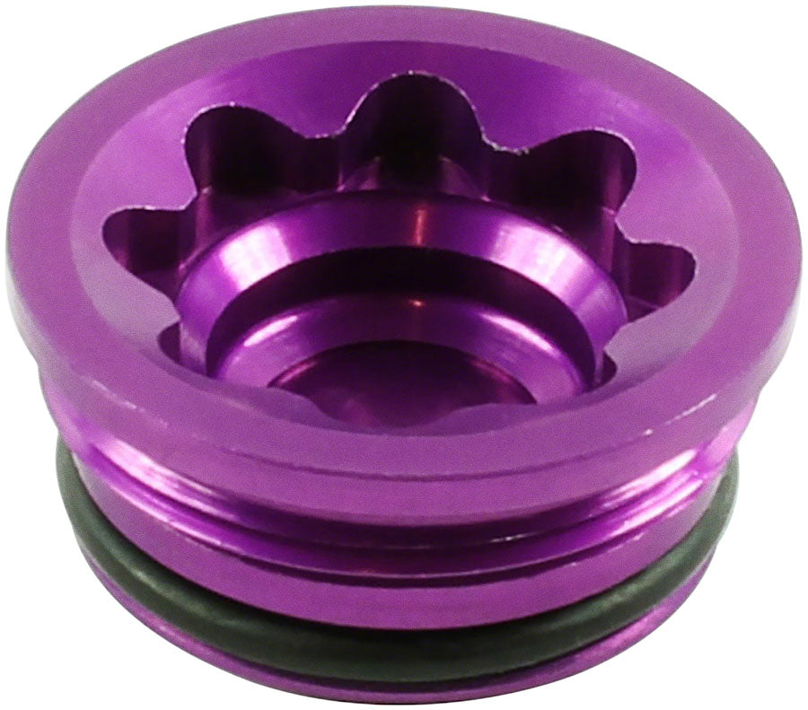 Disc Brake Caliper Bore Caps and Bore Cap O-Rings - BR2324.jpg