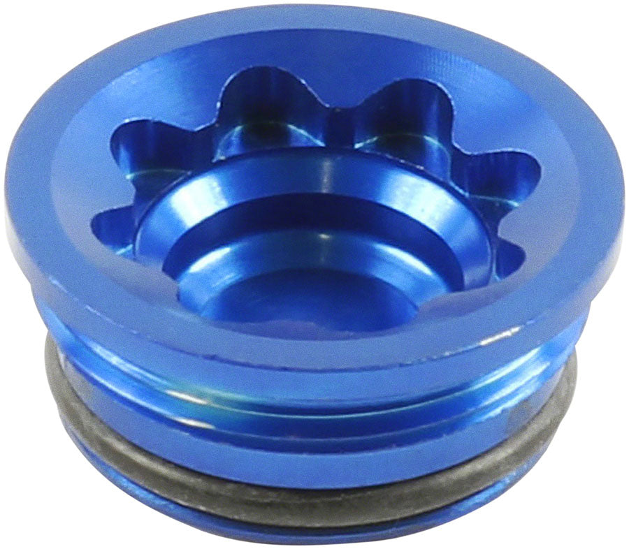 Disc Brake Caliper Bore Caps and Bore Cap O-Rings - BR2326.jpg