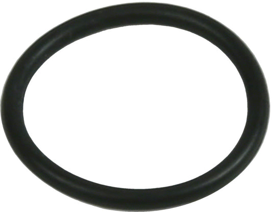Disc Brake Caliper Bore Caps and Bore Cap O-Rings - BR3884.jpg