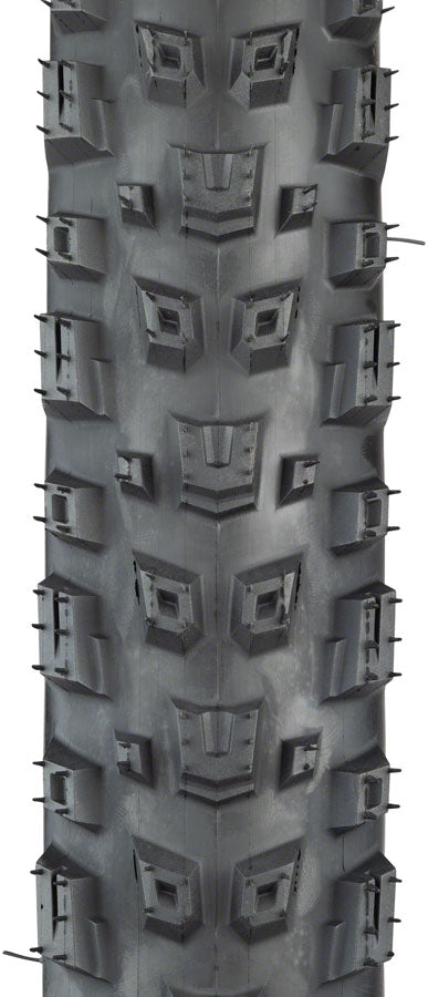 Warwick Tire - TR7767-01.jpg