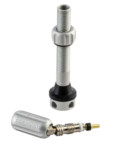 Alloy Tubeless Valves - PU0066-01.jpg