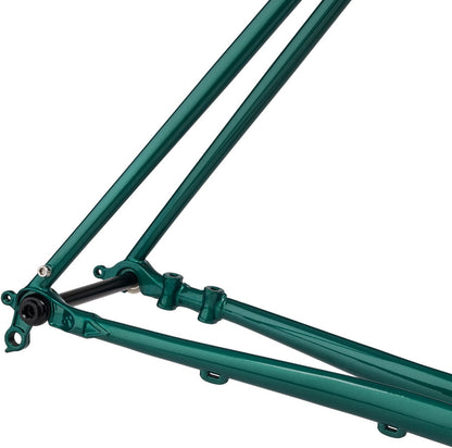 Straggler Frameset - Subtropic Algae - FM2910-03.jpg