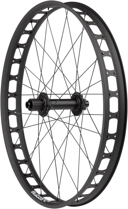 Blizzerk Rear Wheel - WE0349.jpg