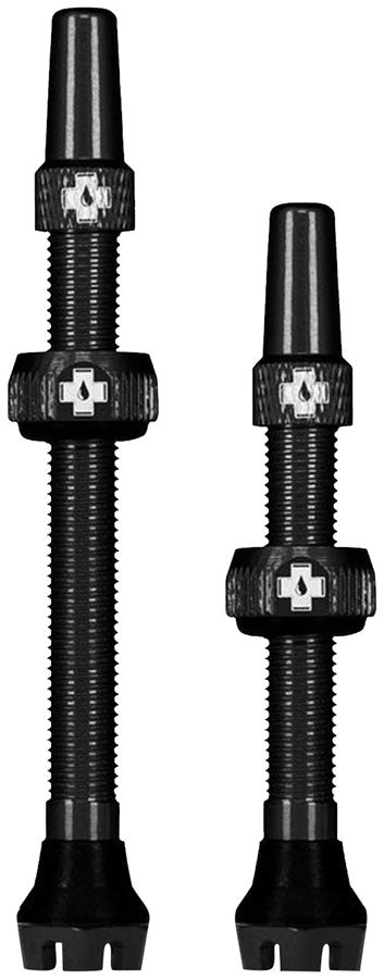 V2 Tubeless Valve Kit - TU0385.jpg