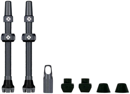 V2 Tubeless Valve Kit - TU2648.jpg