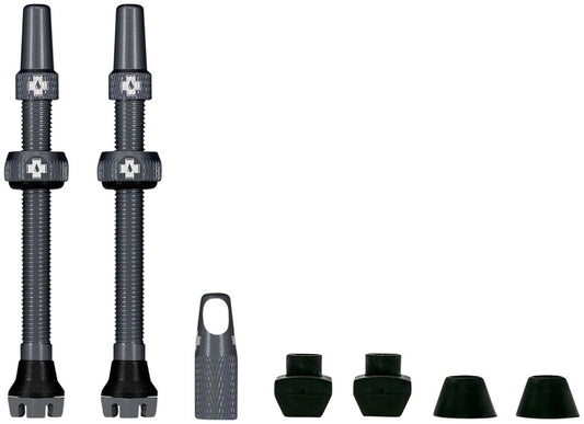 V2 Tubeless Valve Kit - TU2648.jpg