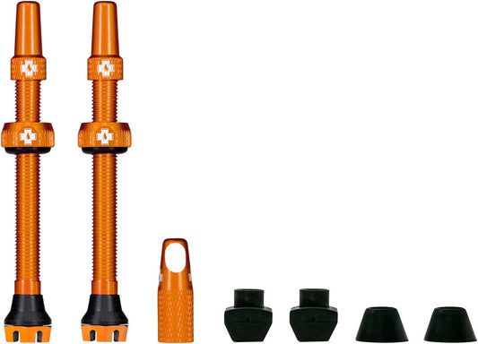 V2 Tubeless Valve Kit - TU4008.jpg