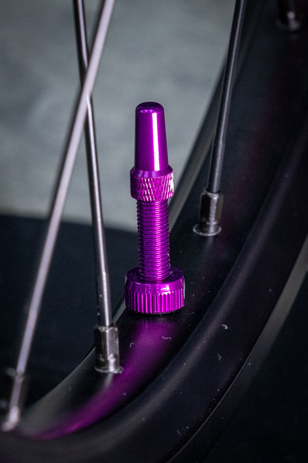 V2 Tubeless Valve Kit - TU4010-03.jpg
