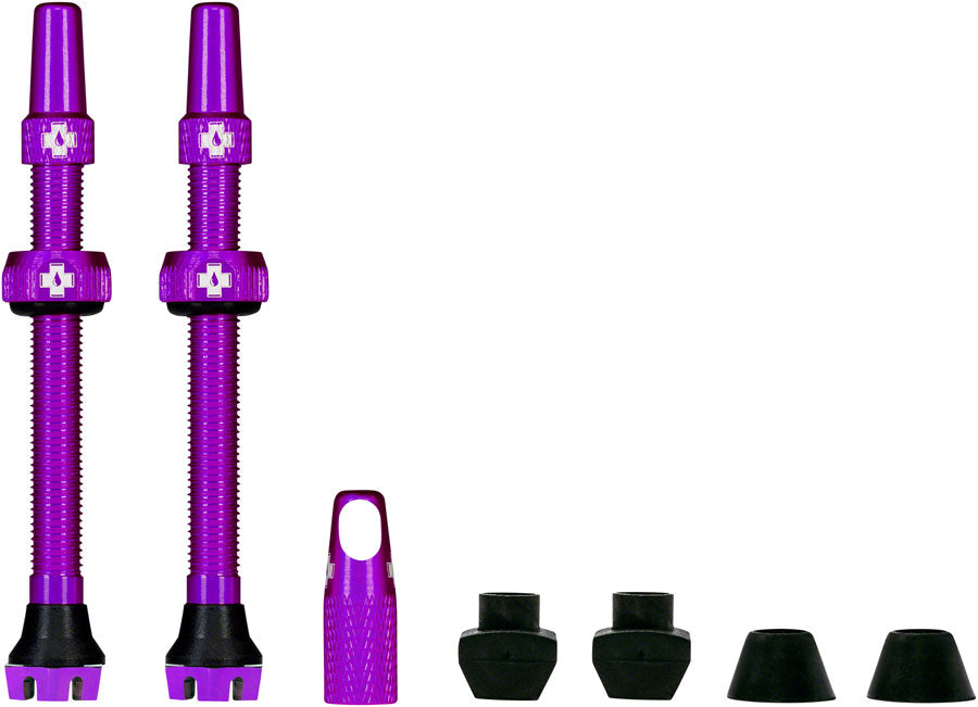 V2 Tubeless Valve Kit - TU4010.jpg