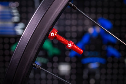 V2 Tubeless Valve Kit - TU4011-01.jpg