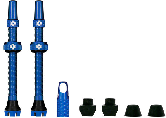 V2 Tubeless Valve Kit - TU4012.jpg