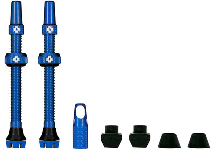 V2 Tubeless Valve Kit - TU4012.jpg