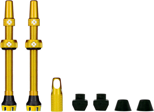 V2 Tubeless Valve Kit - TU4013.jpg