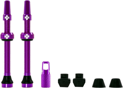 V2 Tubeless Valve Kit - TU4020-01.jpg