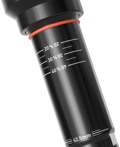 Super Deluxe Thru Shaft RCT Rear Shock - RS1571-03.jpg