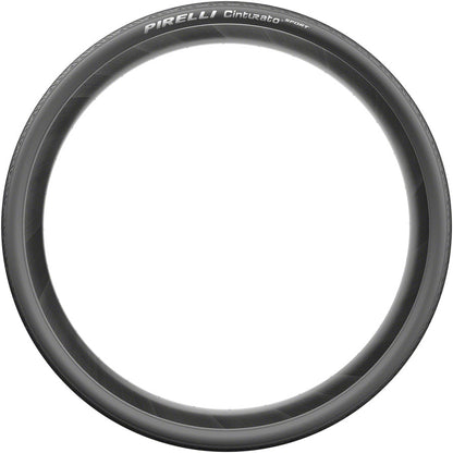 Cinturato Sport Tire - TR4488-01.jpg
