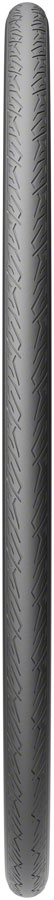 Cinturato Sport Tire - TR4488-02.jpg