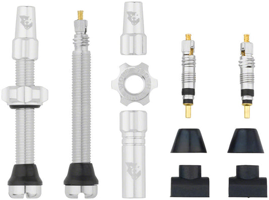 Tubeless Valve Stem Kit - TU0216.jpg