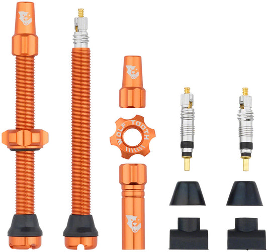 Tubeless Valve Stem Kit - TU0223.jpg