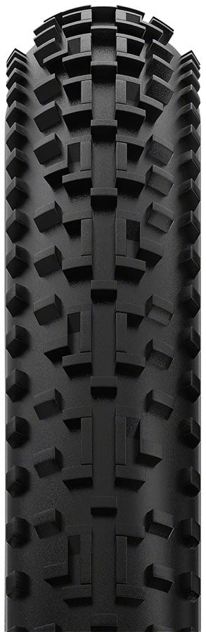 GravelKing EXT Plus Tire - TR6546-01.jpg