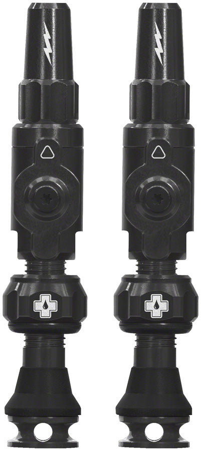 Big Bore Lite Tubeless Valve Stems - TU0229.jpg