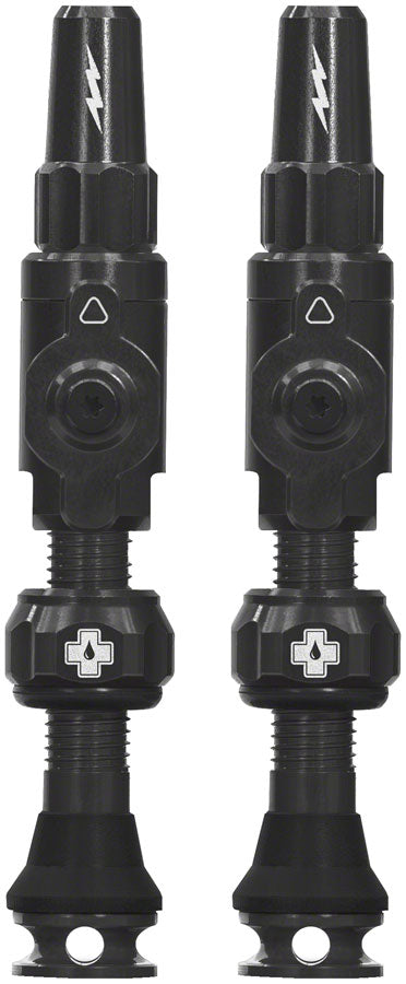 Big Bore Lite Tubeless Valve Stems - TU0233.jpg