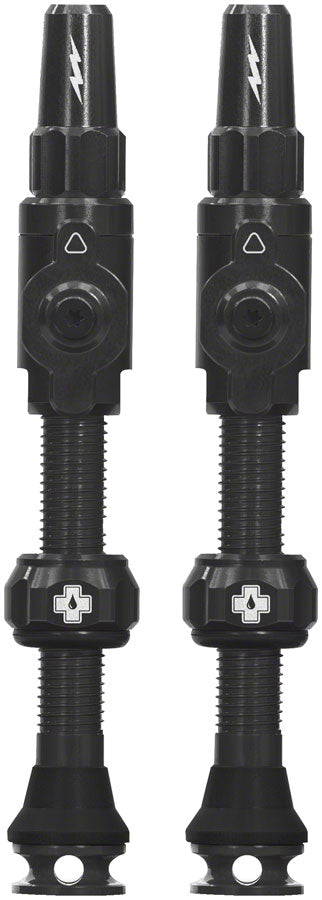 Big Bore Lite Tubeless Valve Stems - TU0237.jpg
