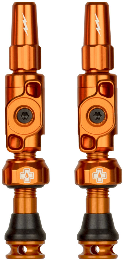 Big Bore Lite Tubeless Valve Stems - TU0311.jpg