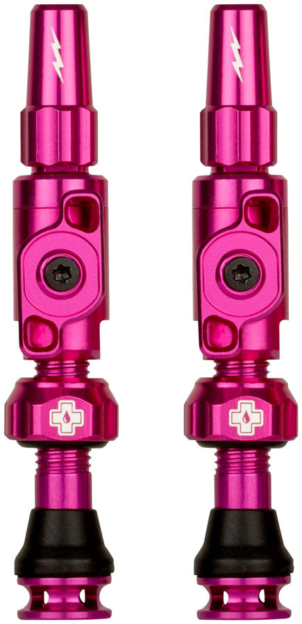 Big Bore Lite Tubeless Valve Stems - TU0312.jpg