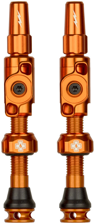 Big Bore Lite Tubeless Valve Stems - TU0313.jpg