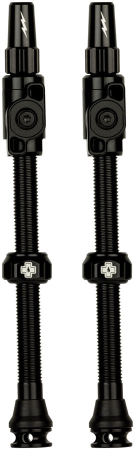 Big Bore Lite Tubeless Valve Stems - TU0324.jpg