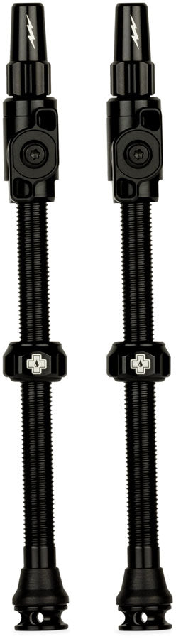 Big Bore Lite Tubeless Valve Stems - TU0328.jpg