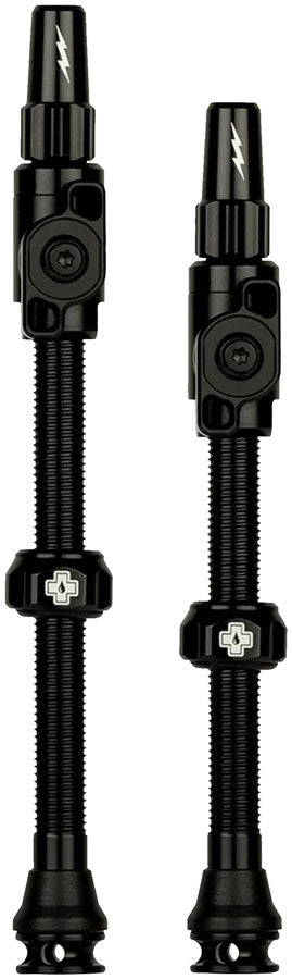 Big Bore Lite Tubeless Valve Stems - TU0386.jpg