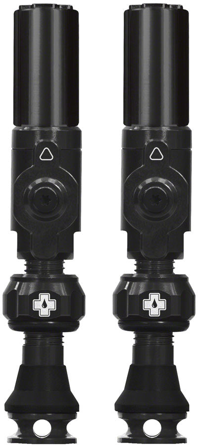 Big Bore Hybrid Tubeless Valve Stems - TU0238.jpg