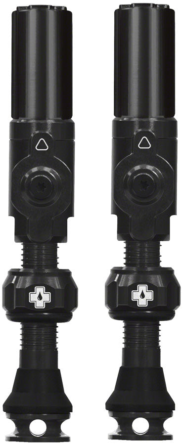 Big Bore Hybrid Tubeless Valve Stems - TU0239.jpg