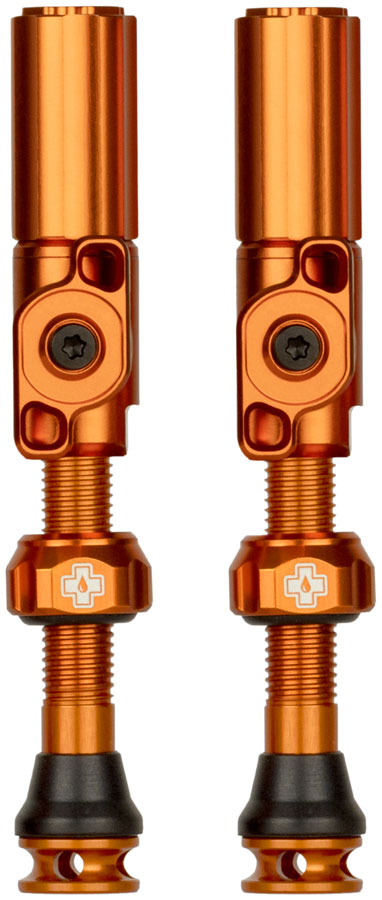 Big Bore Hybrid Tubeless Valve Stems - TU0335.jpg