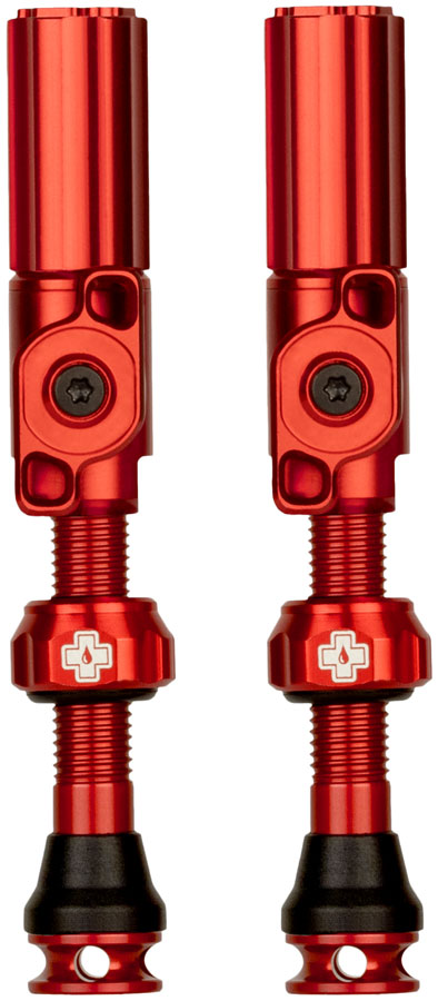 Big Bore Hybrid Tubeless Valve Stems - TU0338.jpg