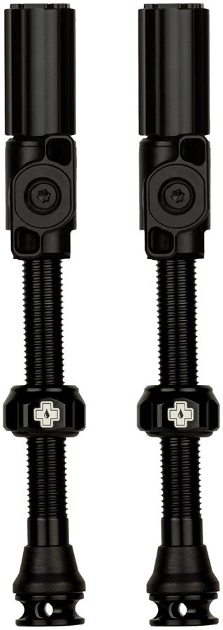 Big Bore Hybrid Tubeless Valve Stems - TU0342.jpg