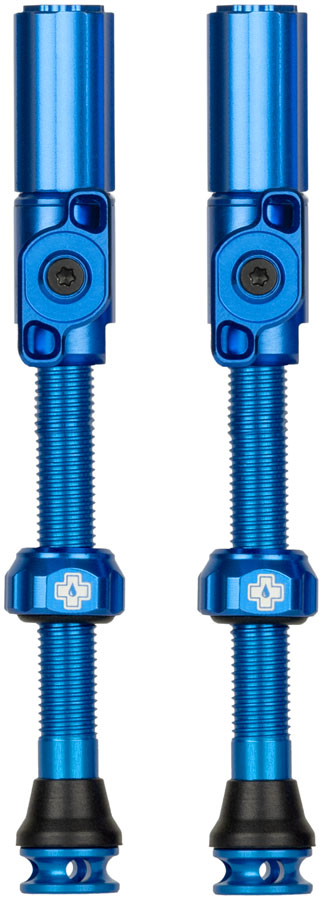 Big Bore Hybrid Tubeless Valve Stems - TU0345.jpg