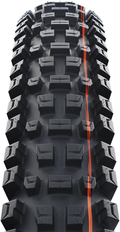 Albert Tire - TR00730-01.jpg