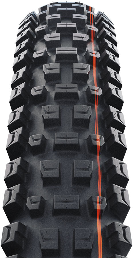 Albert Tire - TR00730-01.jpg