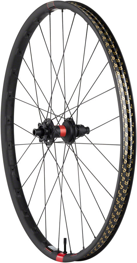 DT 240 / Reserve 30 SL Carbon Rear Wheel - WE2545.jpg