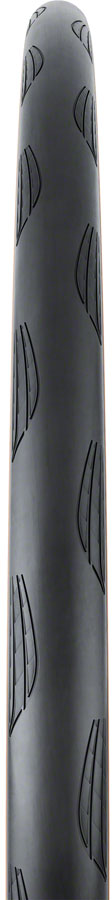 Grand Prix Tire - TR00089-01.jpg