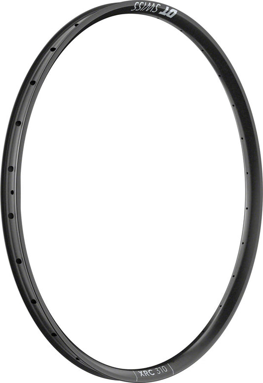 XRC 310 Rim - RM0364.jpg