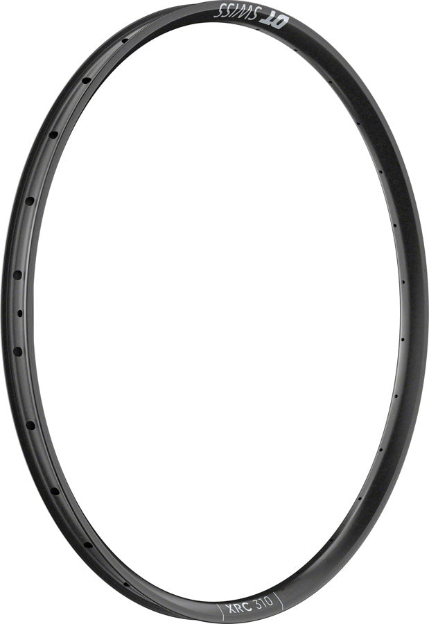 XRC 310 Rim - RM0364.jpg