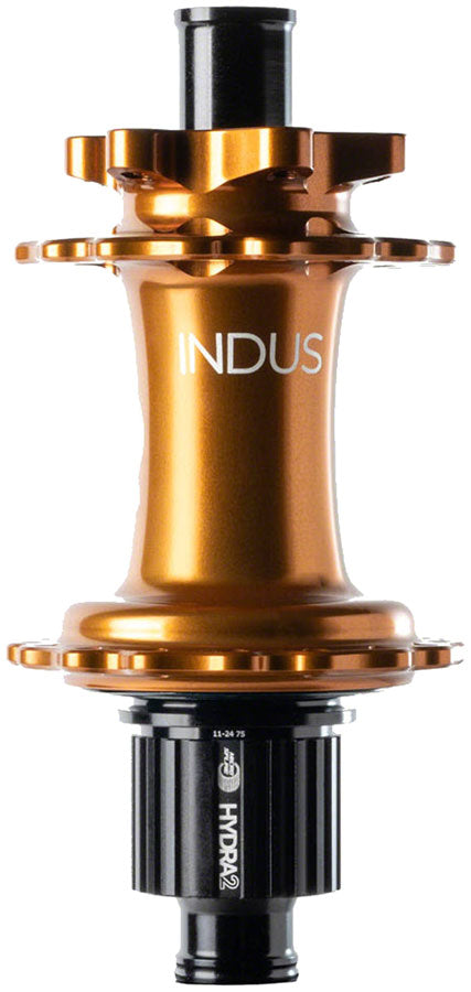 Hydra 2 Classic Rear Hub - HU2966-01.jpg