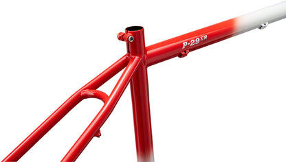 P-29er Frame - Team Edition - FM1388-02.jpg